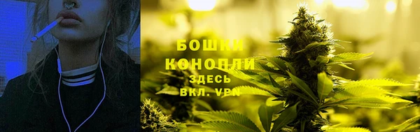 мет Дмитров