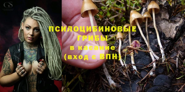 МДПВ Дмитриев