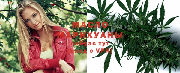 мет Дмитров