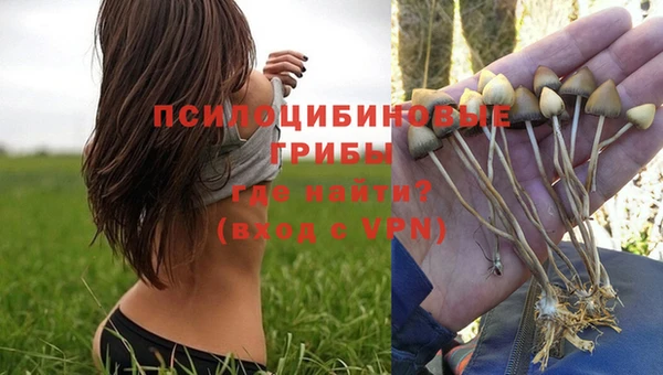apvp Дмитровск