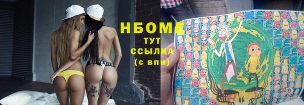 мет Дмитров