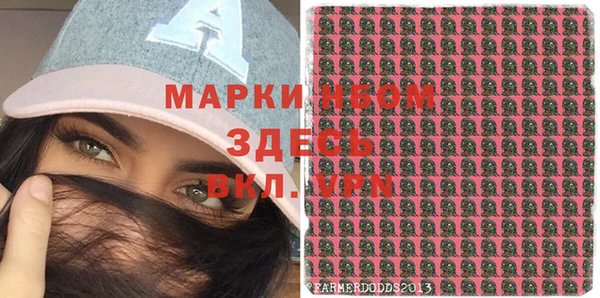 мет Дмитров