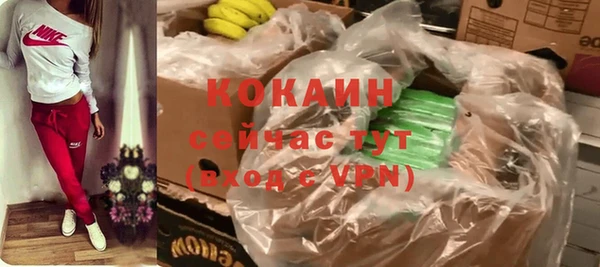 МДПВ Дмитриев