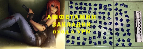 мет Дмитров